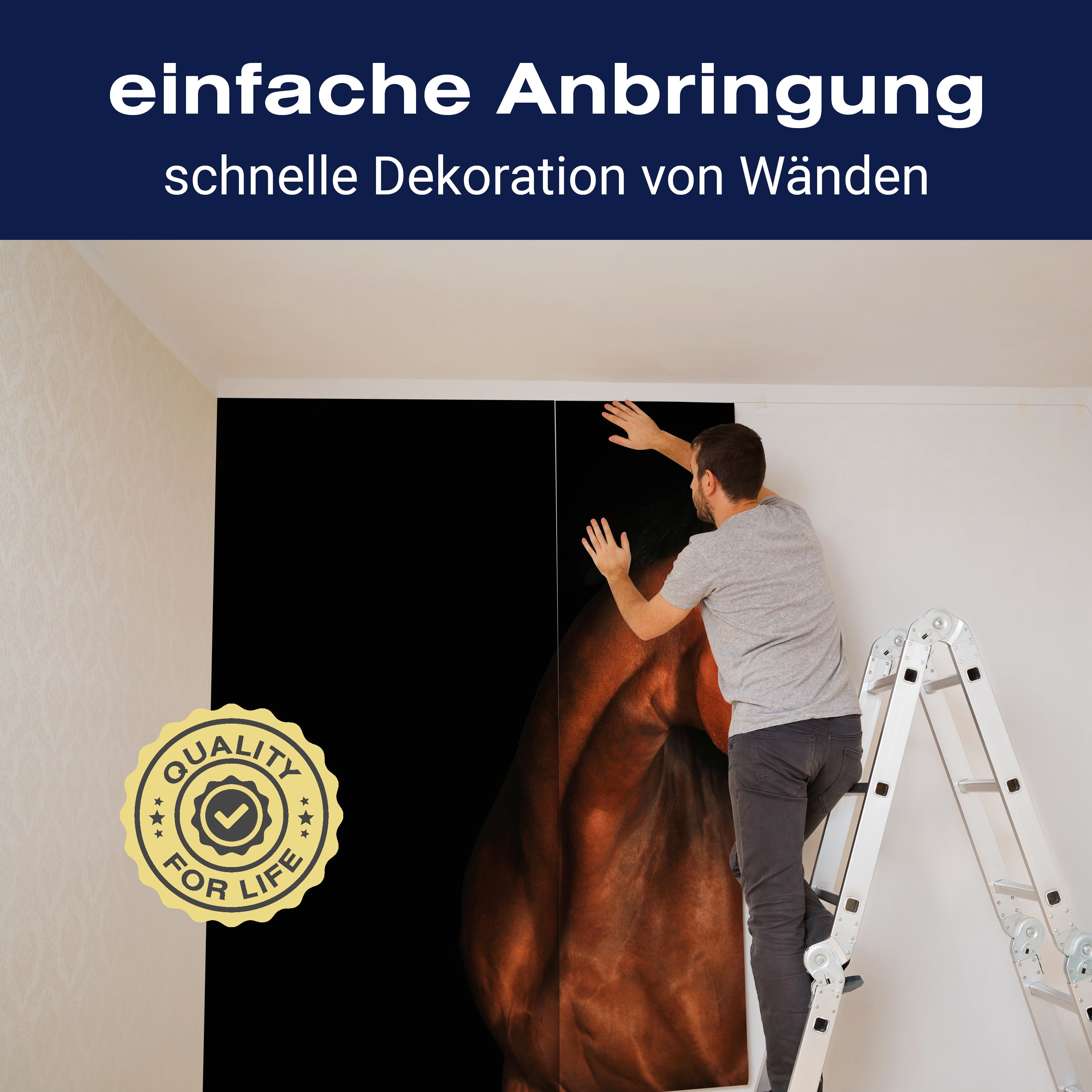 Fototapete braun weißes Pferd M6717 - Bild 3 Fototapete braun weißes Pferd M6717 - Bild 3