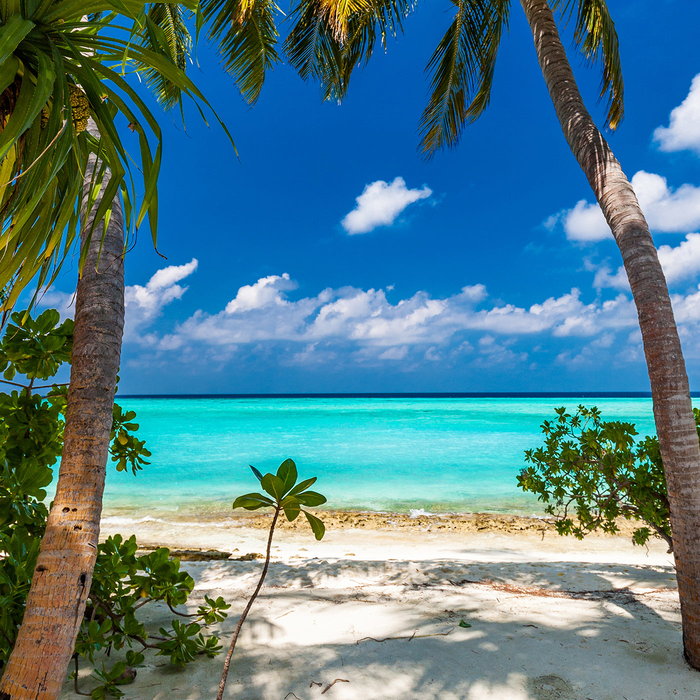 Natur Türtapeten Kategorie Natur Türtapeten Kategorie