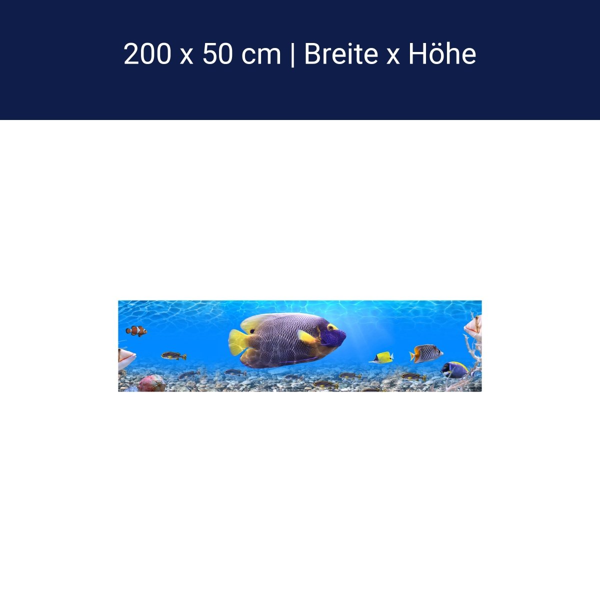 Panorama-Fototapete Unterwasserwelt 1 M0001 Panorama-Fototapete Unterwasserwelt 1 M0001