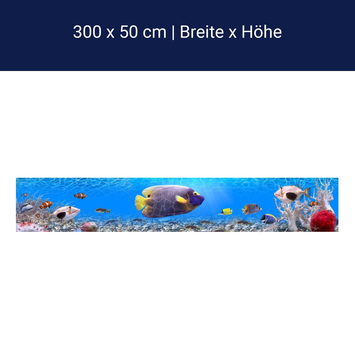 Panorama-Fototapete Unterwasserwelt 1 M0001 Panorama-Fototapete Unterwasserwelt 1 M0001