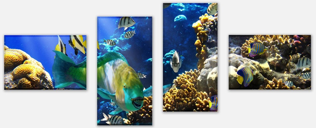 Leinwandbild Mehrteiler Unterwasser M0011 Leinwandbild Mehrteiler Unterwasser M0011