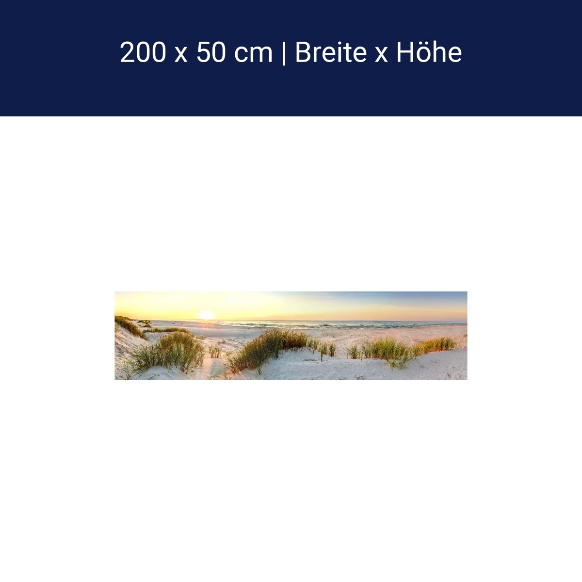 Panorama-Fototapete Meerblick, Strand, Dünen M0013