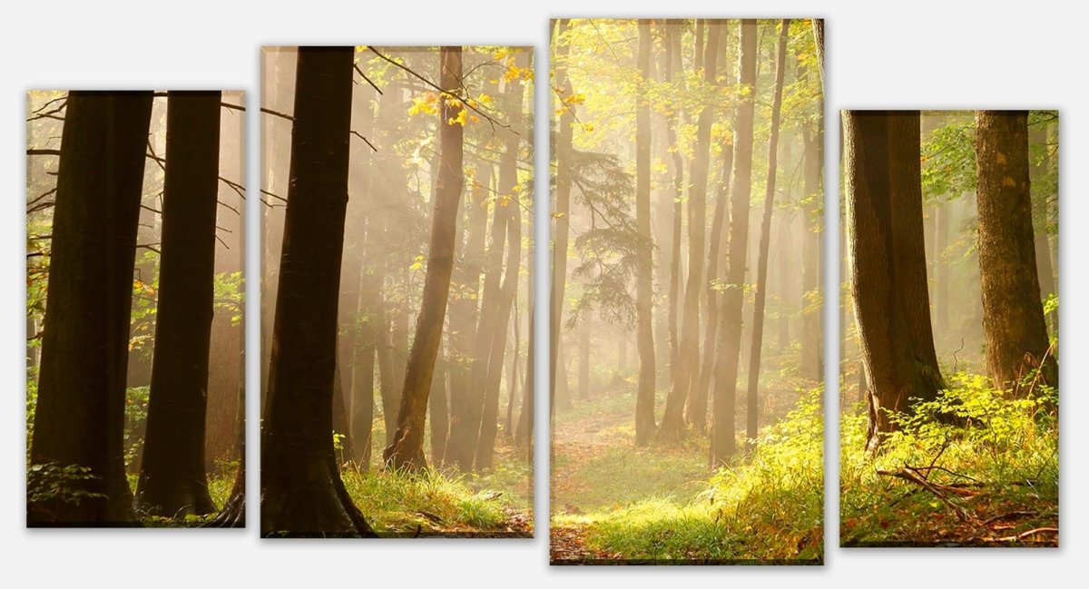Leinwandbild Mehrteiler Waldweg M0024 Leinwandbild Mehrteiler Waldweg M0024