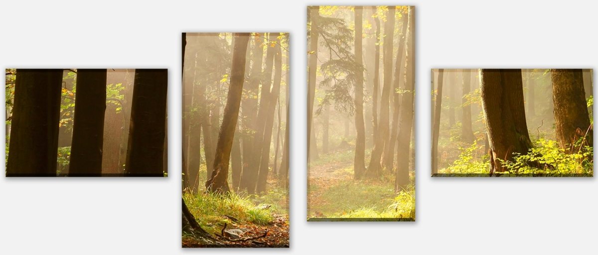 Leinwandbild Mehrteiler Waldweg M0024 Leinwandbild Mehrteiler Waldweg M0024
