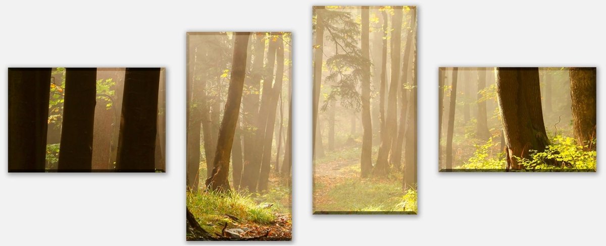 Leinwandbild Mehrteiler Waldweg M0024 Leinwandbild Mehrteiler Waldweg M0024
