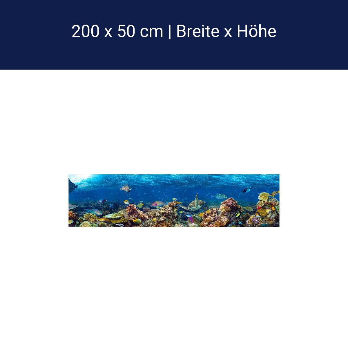 Panorama-Fototapete Unterwasser Welt M0039 Panorama-Fototapete Unterwasser Welt M0039