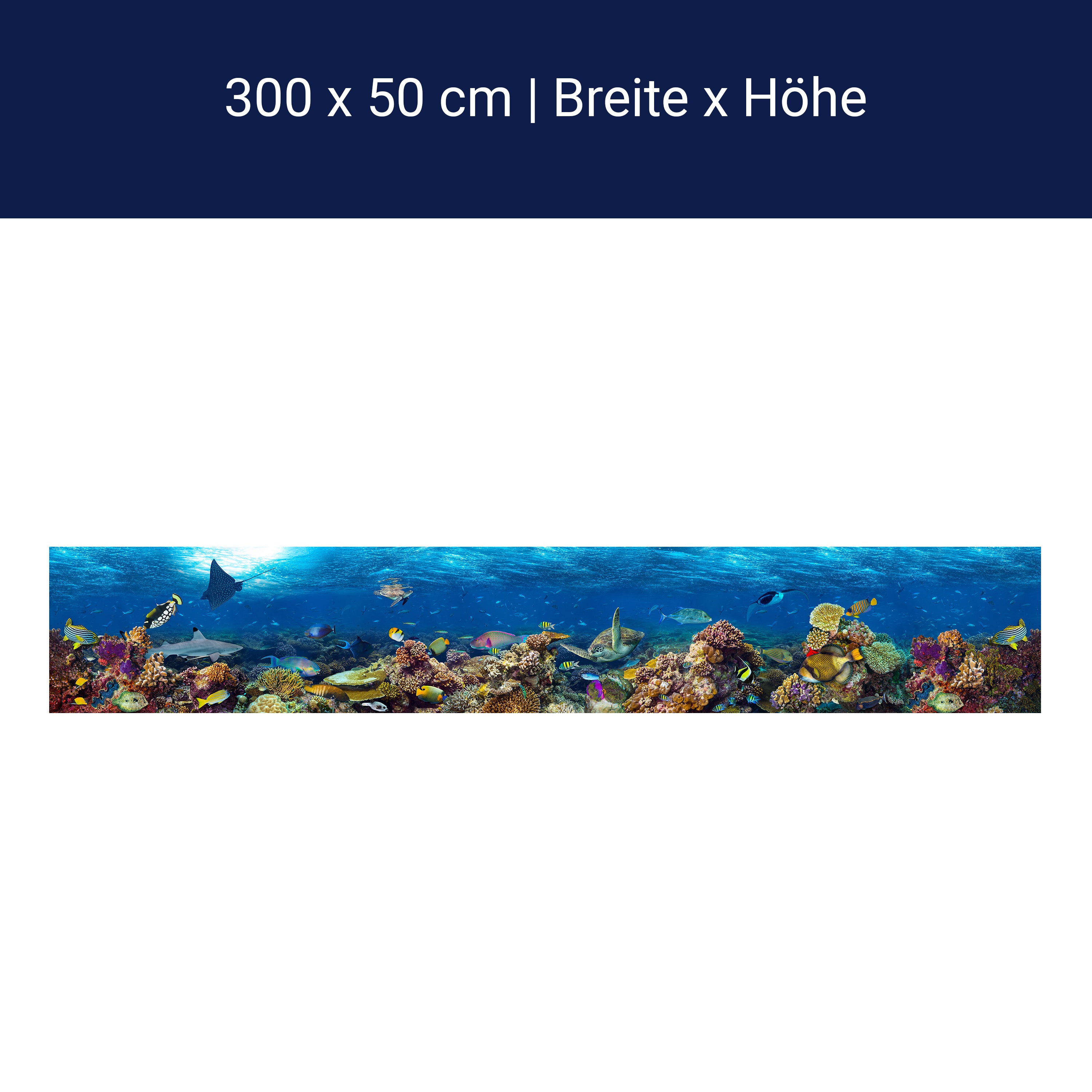 Panorama-Fototapete Unterwasser Welt M0039 Panorama-Fototapete Unterwasser Welt M0039