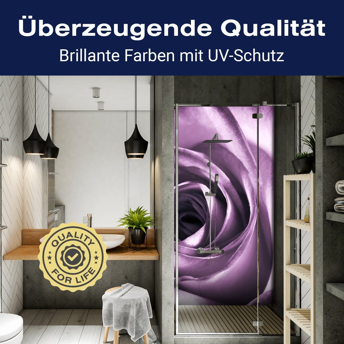 Duschwand violette Rose M0051 entdecken - Bild 2 Duschwand violette Rose M0051 entdecken - Bild 2