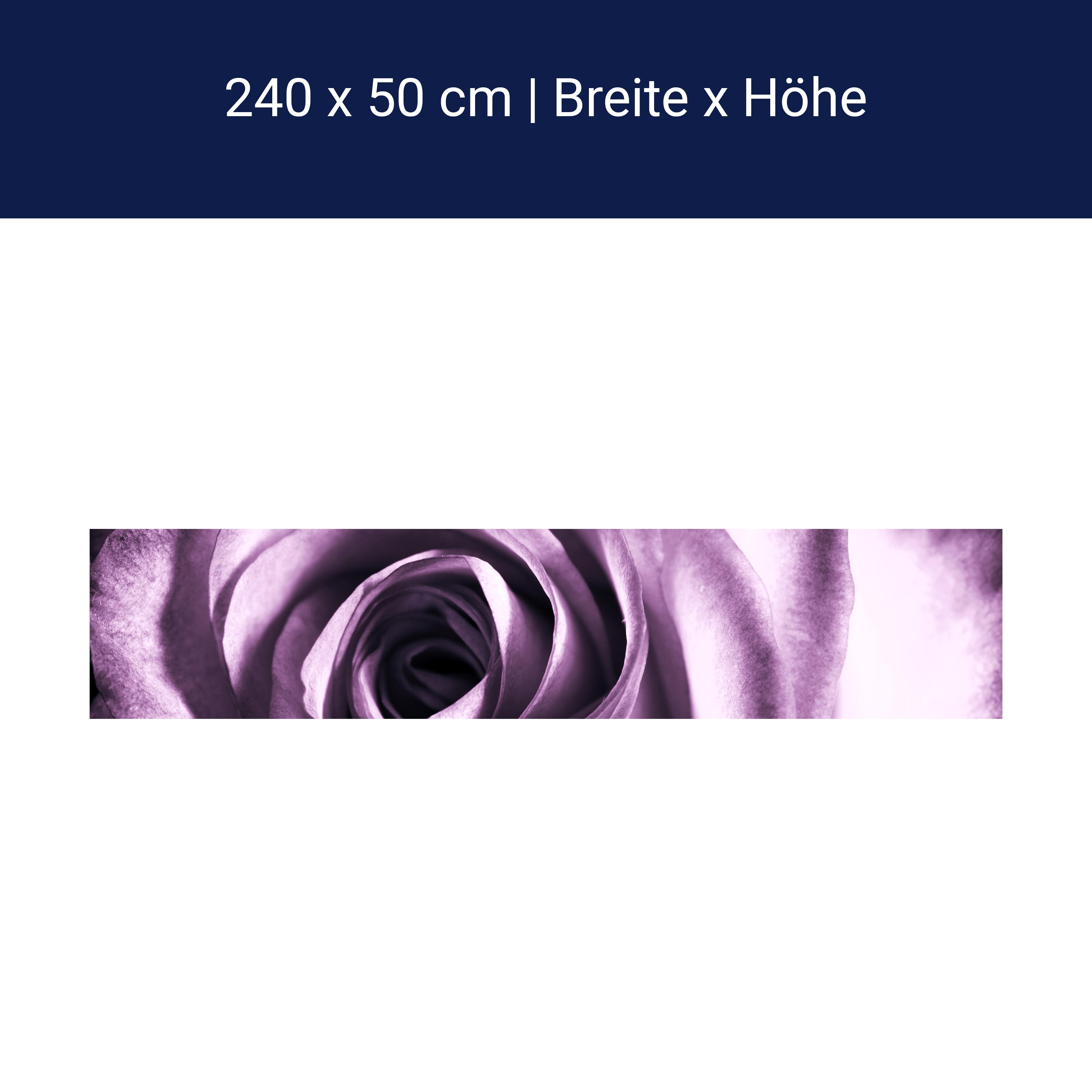 Küchenrückwand violette Rose M0051 Küchenrückwand violette Rose M0051