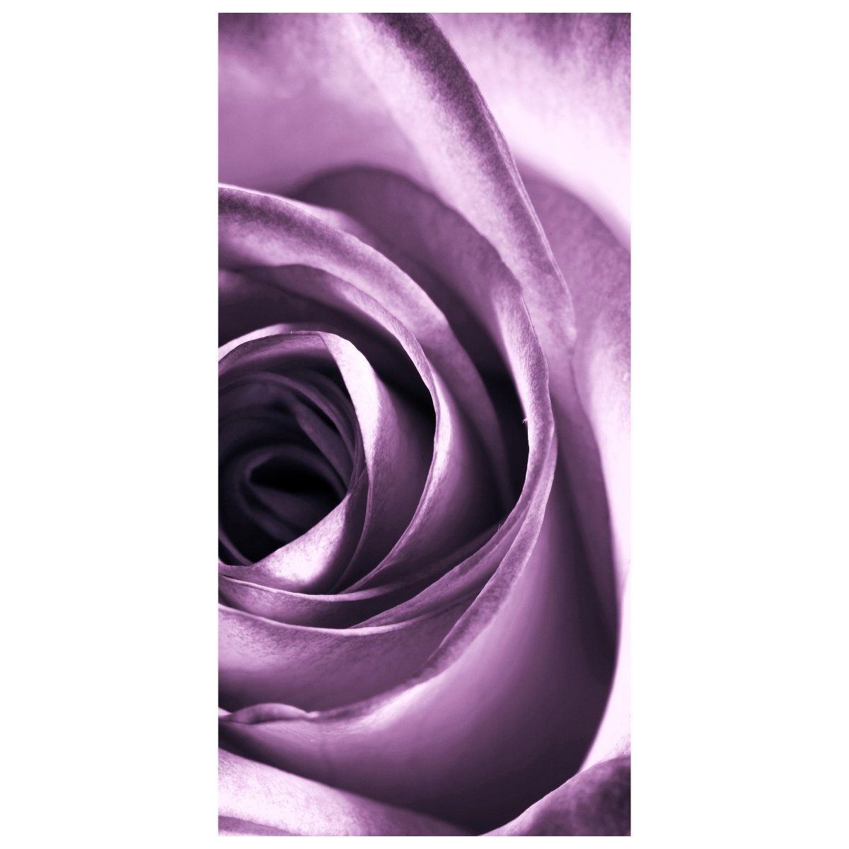 Türtapete violette Rose M0051 - Bild 2