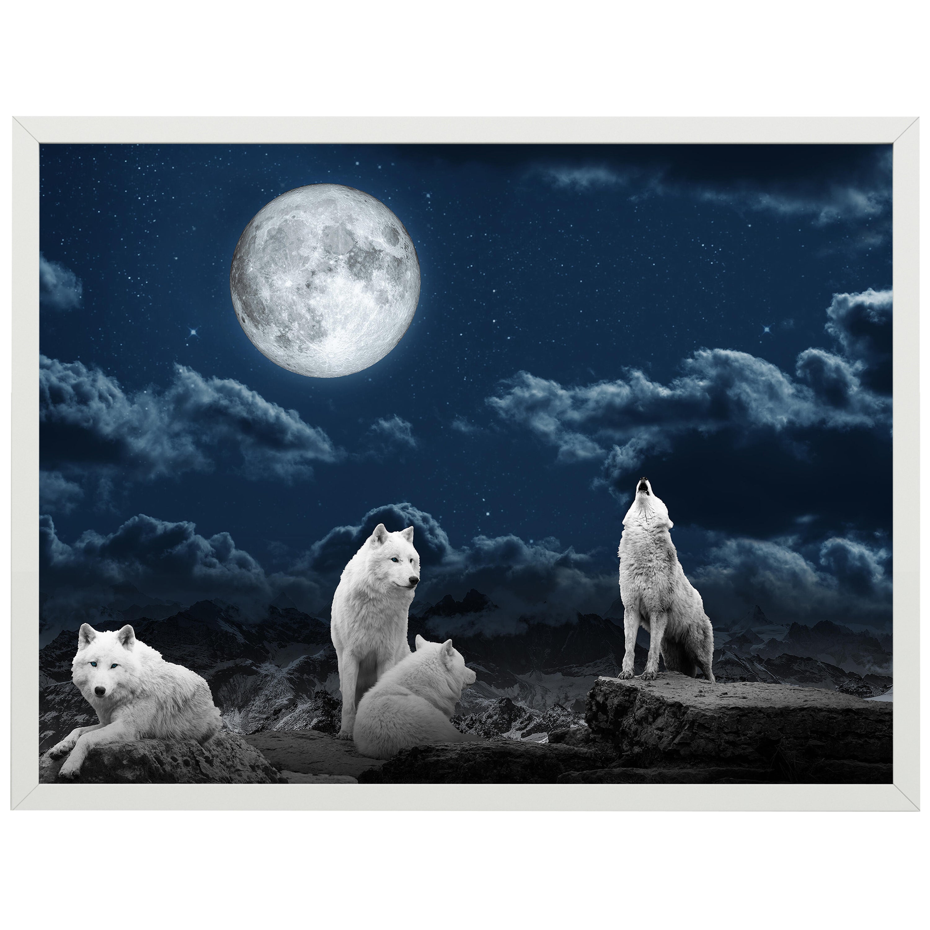wandmotiv24 Poster, Poster - Tiere - M0082 - Bild 1 wandmotiv24 Poster, Poster - Tiere - M0082 - Bild 1