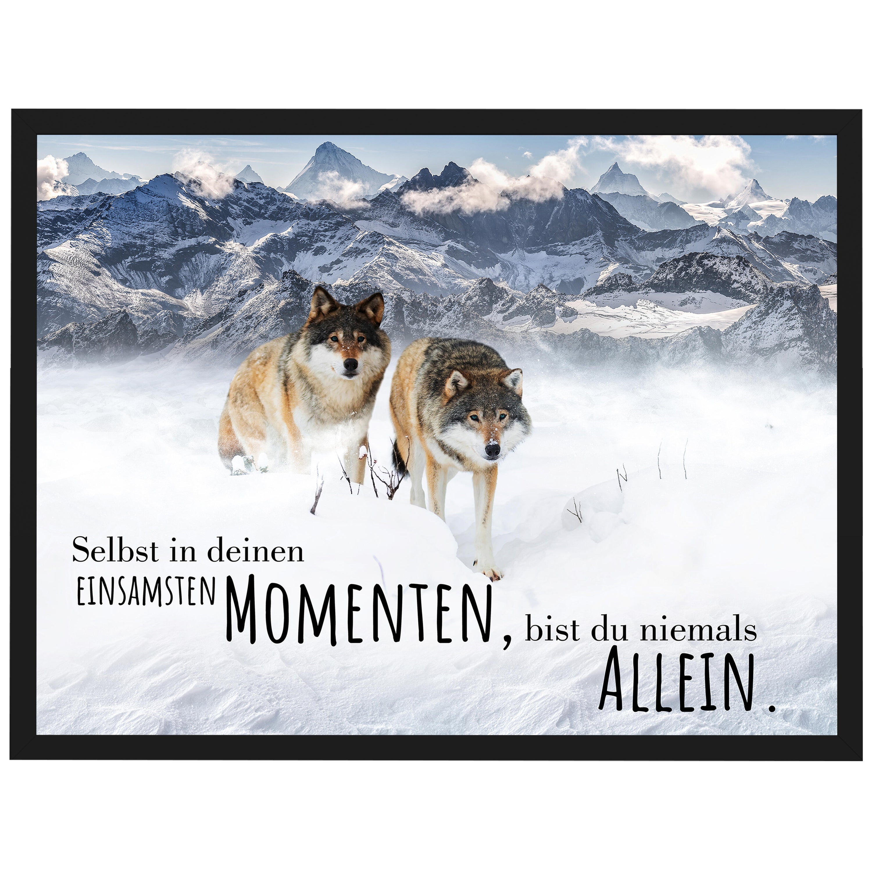 wandmotiv24 Poster, Poster - Tiere - M0083 - Bild 1