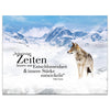 Wandbild Acrylglas Tiere, Wolf in den Bergen, Entschlossenheit M0085