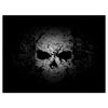 Wandbild Acrylglas Totenkopf, Schädel im Grunge Style, Schwarz Weiß, Skull M0119