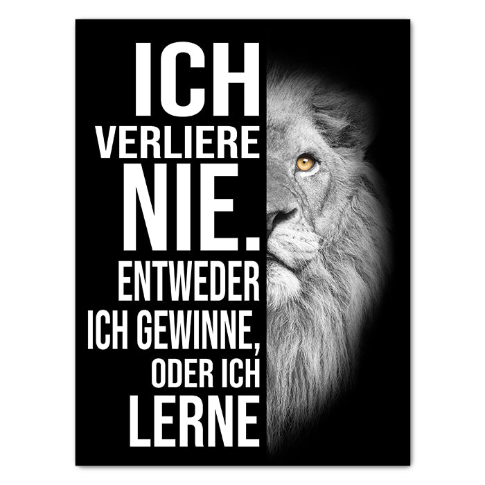 Leinwandbild Löwen, Hochformat M0194 kaufen - Bild 1