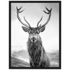 Poster Hirsch, schwarz, weiß M0215 Poster Hirsch, schwarz, weiß M0215