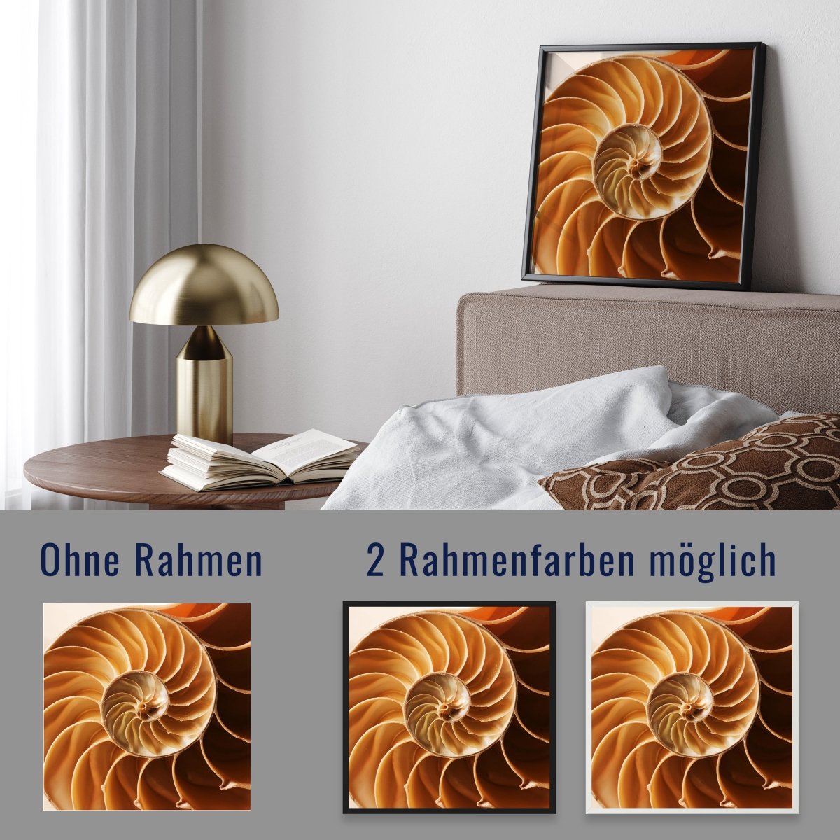 wandmotiv24 Poster, Poster - Tier, Schneckenhaus, beige - M0220 - Bild 4