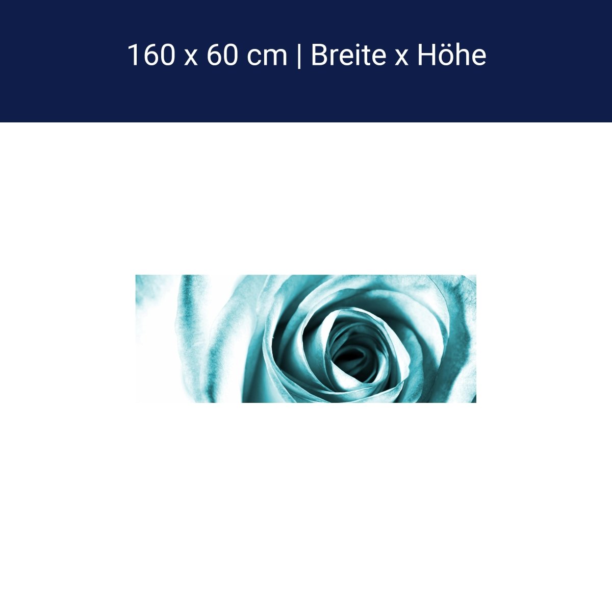 Küchenrückwand Blaue Rose Blüte M0227 Küchenrückwand Blaue Rose Blüte M0227