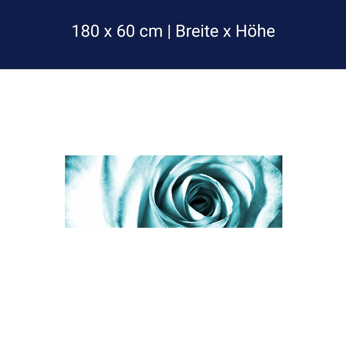 Küchenrückwand Blaue Rose Blüte M0227 Küchenrückwand Blaue Rose Blüte M0227