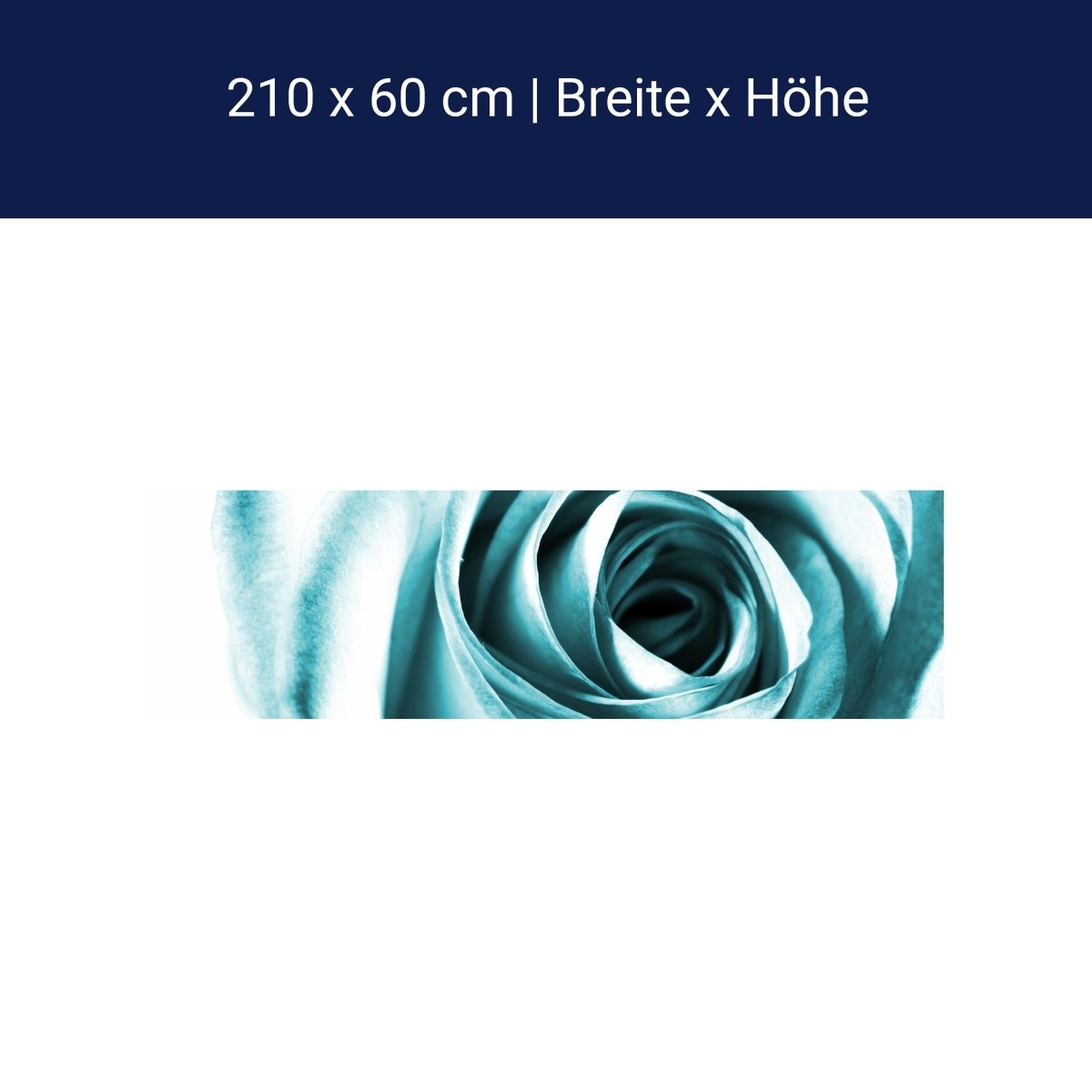 Küchenrückwand Blaue Rose Blüte M0227 Küchenrückwand Blaue Rose Blüte M0227