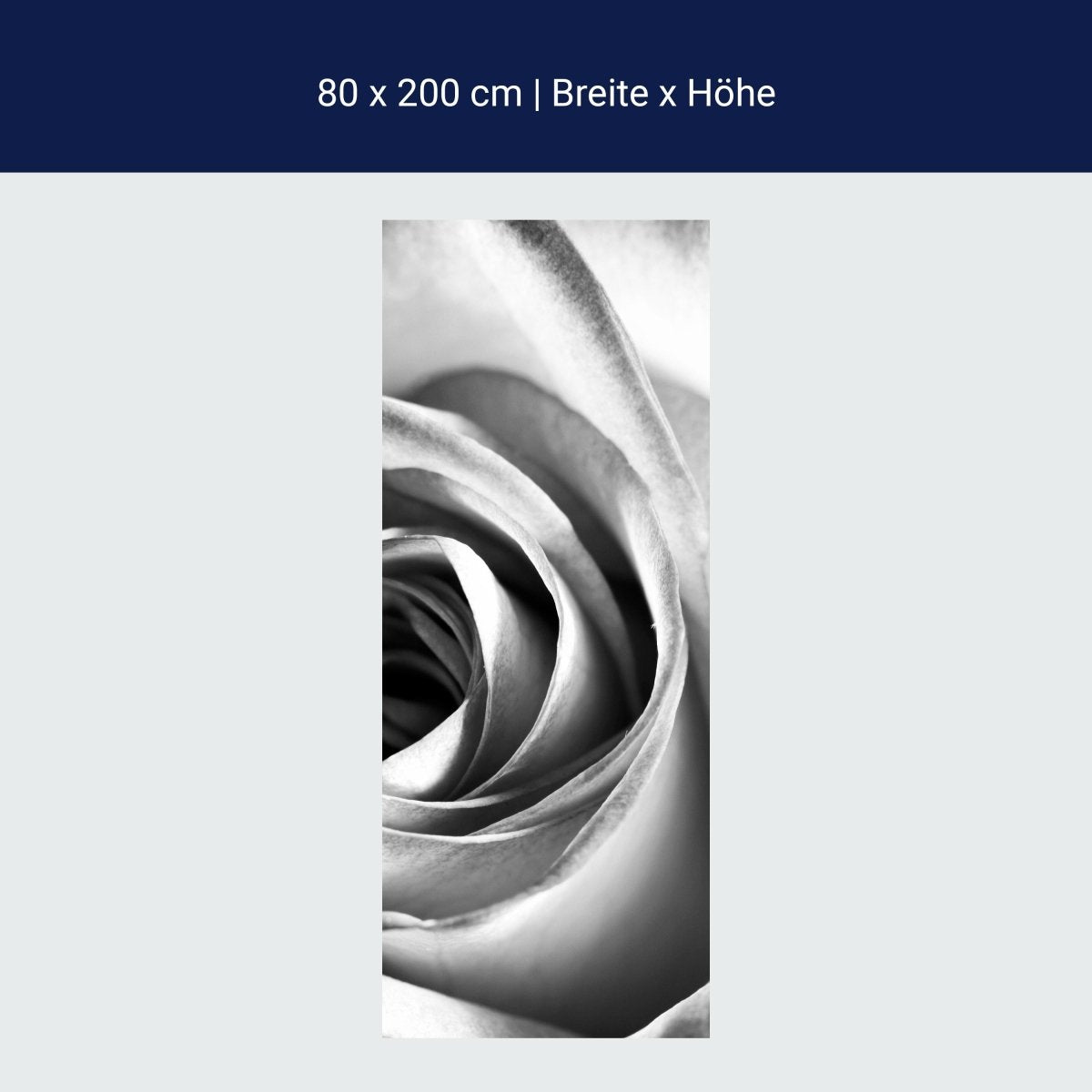 Duschwand weiße Rose Blüte M0233 Duschwand weiße Rose Blüte M0233