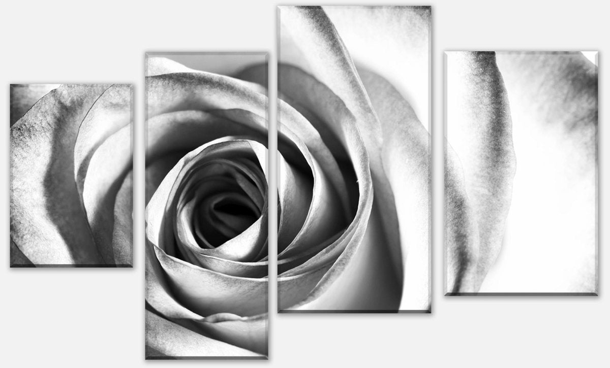 Leinwandbild Mehrteiler weiße Rose Blüte M0233 Leinwandbild Mehrteiler weiße Rose Blüte M0233