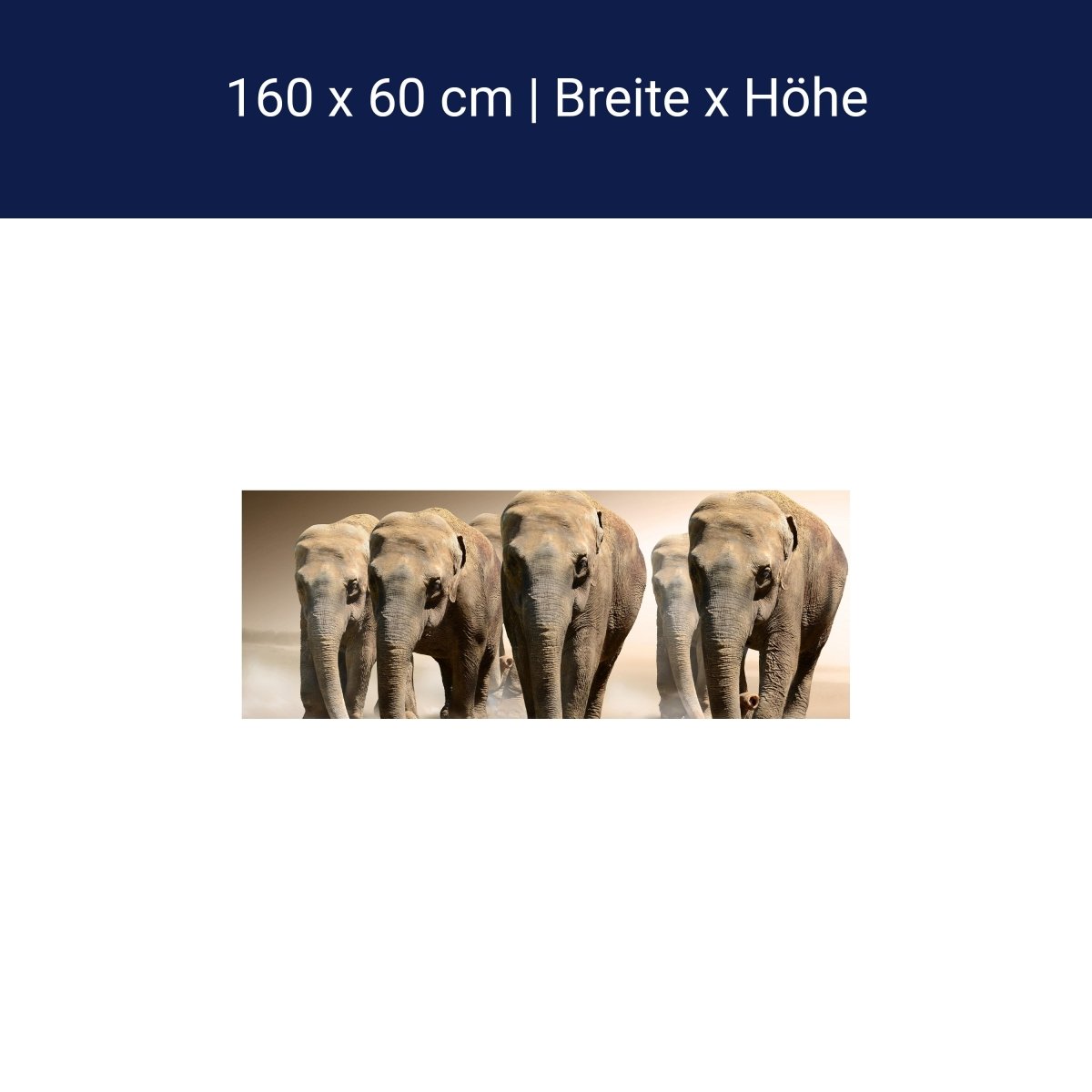 Küchenrückwand Elefantengruppe Afrika M0245 Küchenrückwand Elefantengruppe Afrika M0245