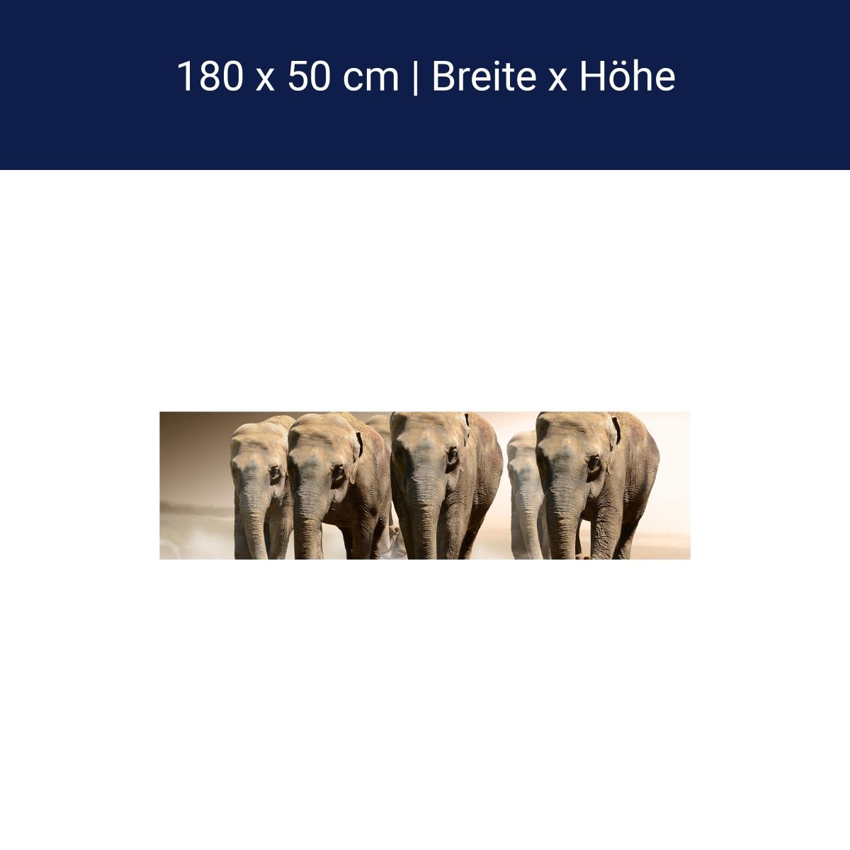 Küchenrückwand Elefantengruppe Afrika M0245 Küchenrückwand Elefantengruppe Afrika M0245