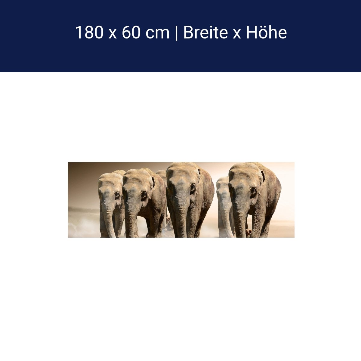 Küchenrückwand Elefantengruppe Afrika M0245 Küchenrückwand Elefantengruppe Afrika M0245