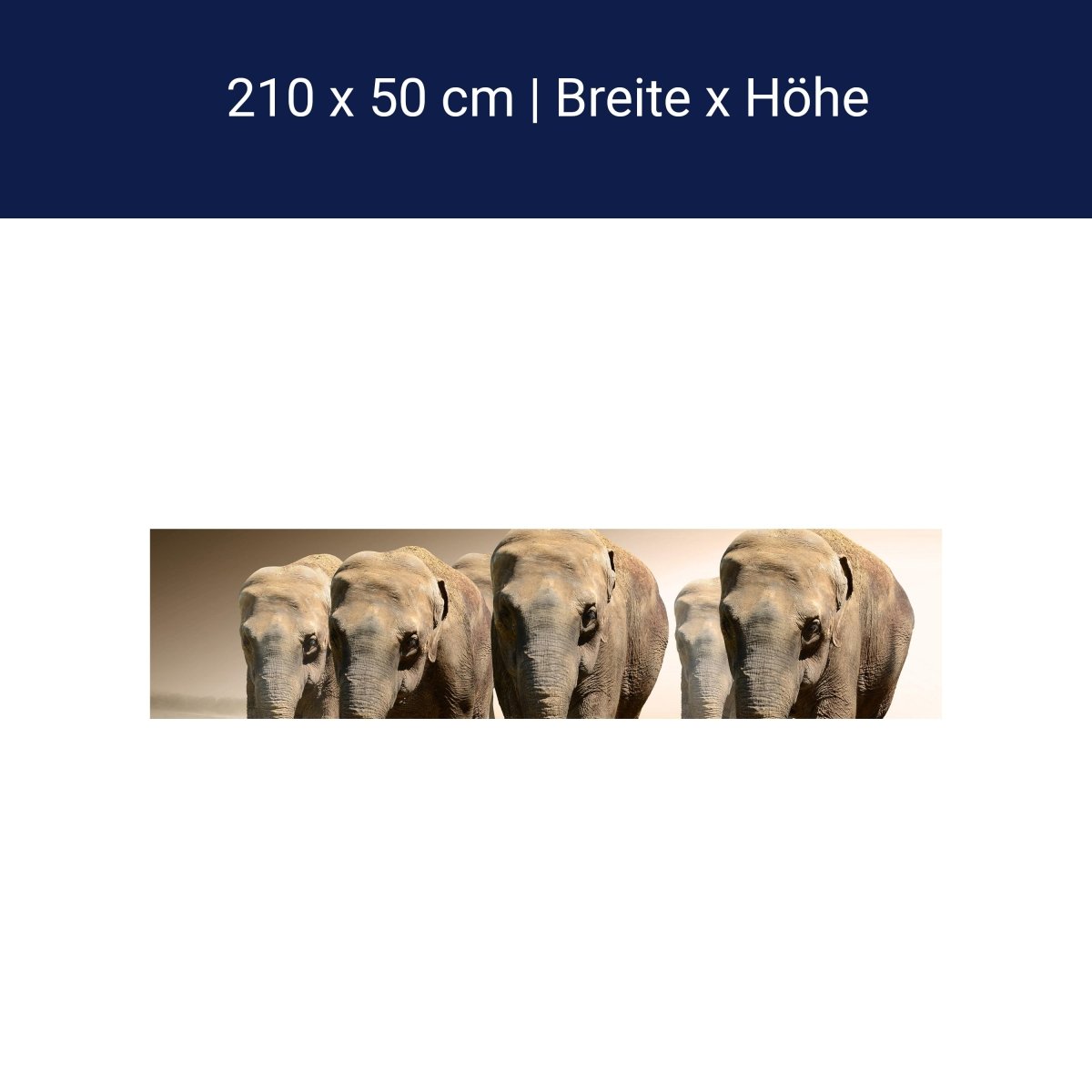 Küchenrückwand Elefantengruppe Afrika M0245 Küchenrückwand Elefantengruppe Afrika M0245