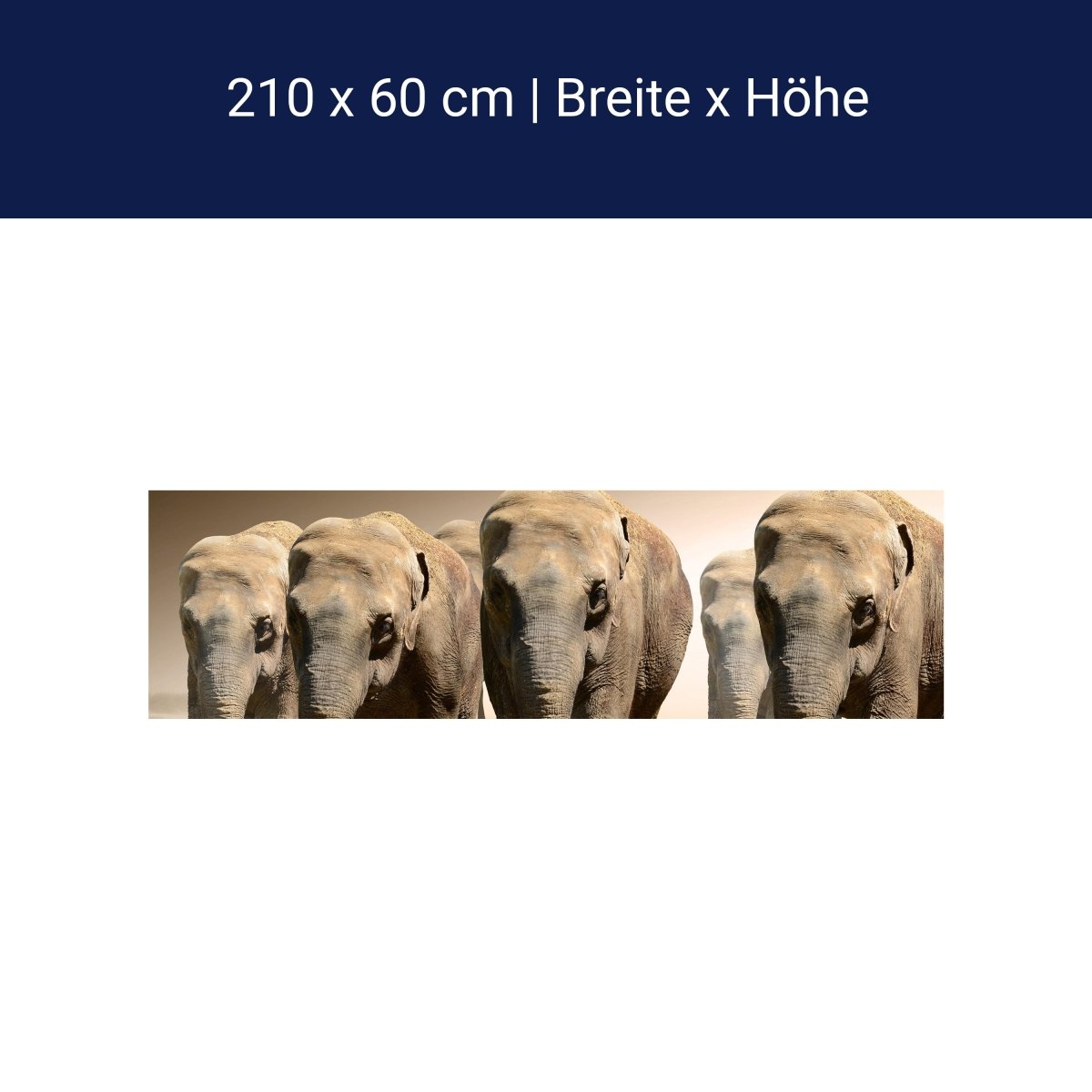 Küchenrückwand Elefantengruppe Afrika M0245 Küchenrückwand Elefantengruppe Afrika M0245