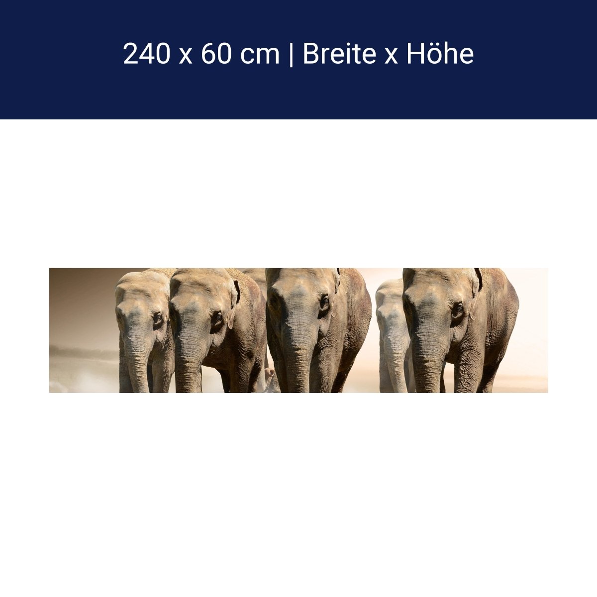 Küchenrückwand Elefantengruppe Afrika M0245 Küchenrückwand Elefantengruppe Afrika M0245