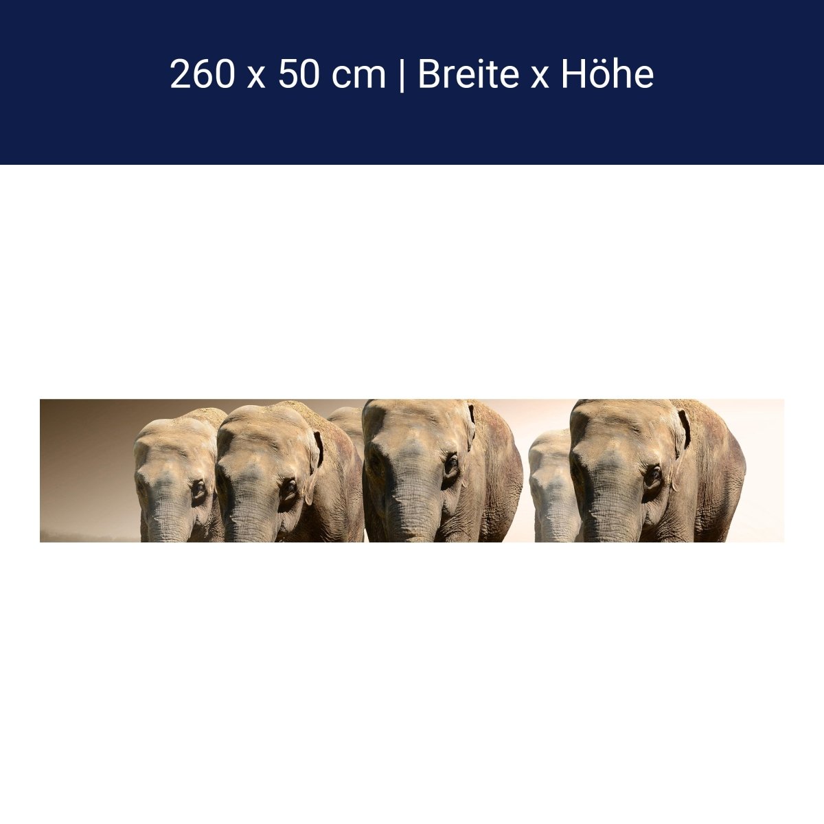 Küchenrückwand Elefantengruppe Afrika M0245