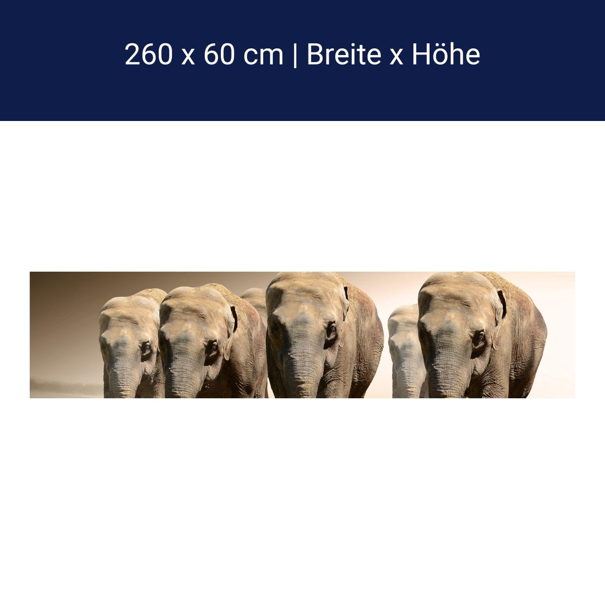Küchenrückwand Elefantengruppe Afrika M0245 Küchenrückwand Elefantengruppe Afrika M0245