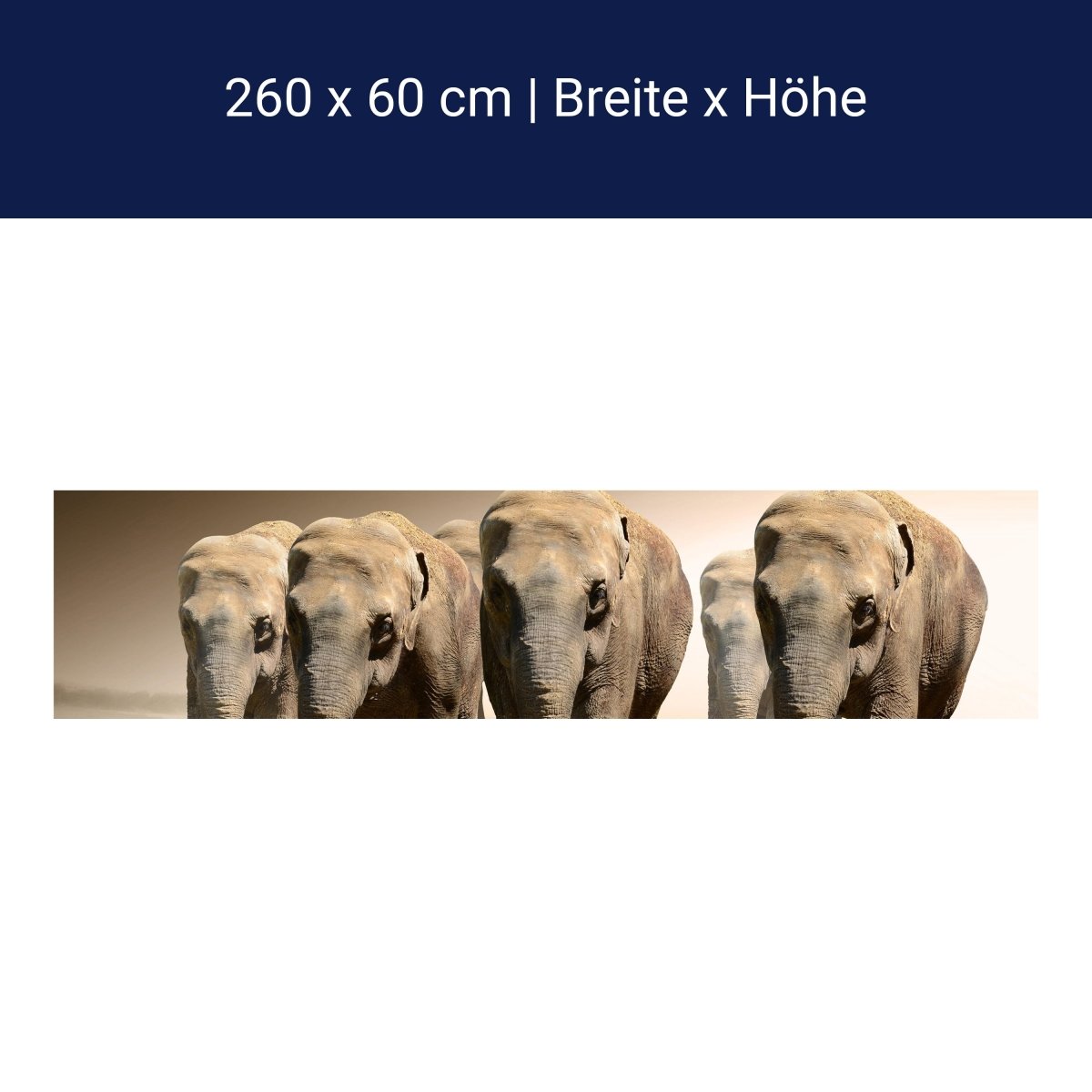 Küchenrückwand Elefantengruppe Afrika M0245