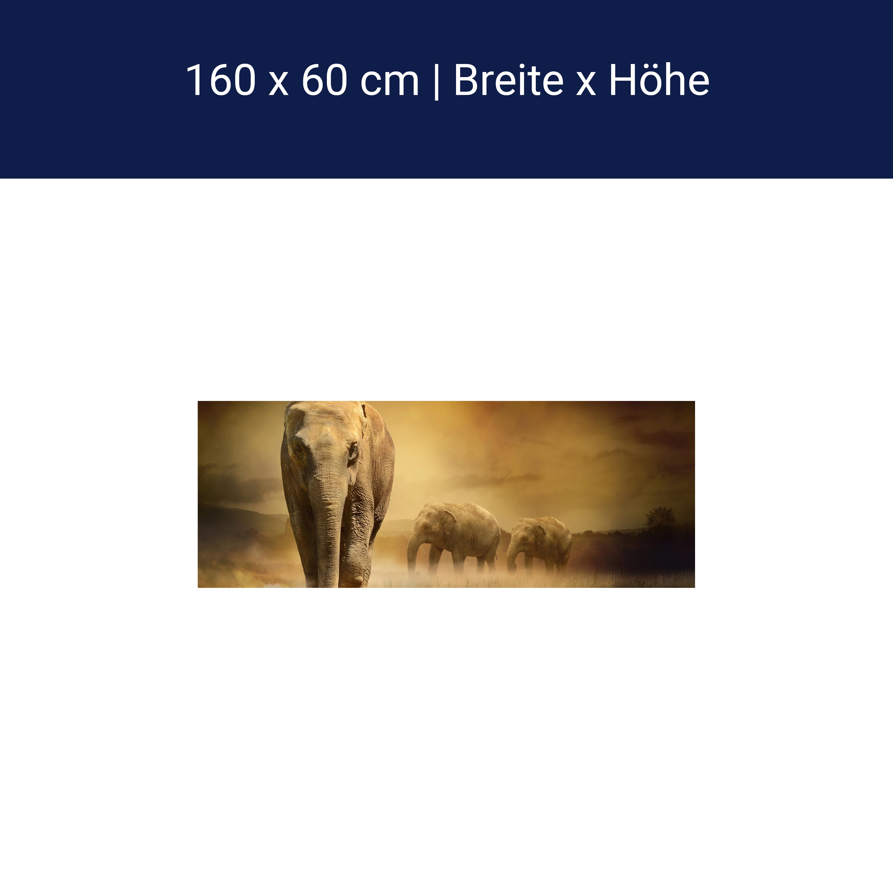 Küchenrückwand Steppenelefant Afrika M0246