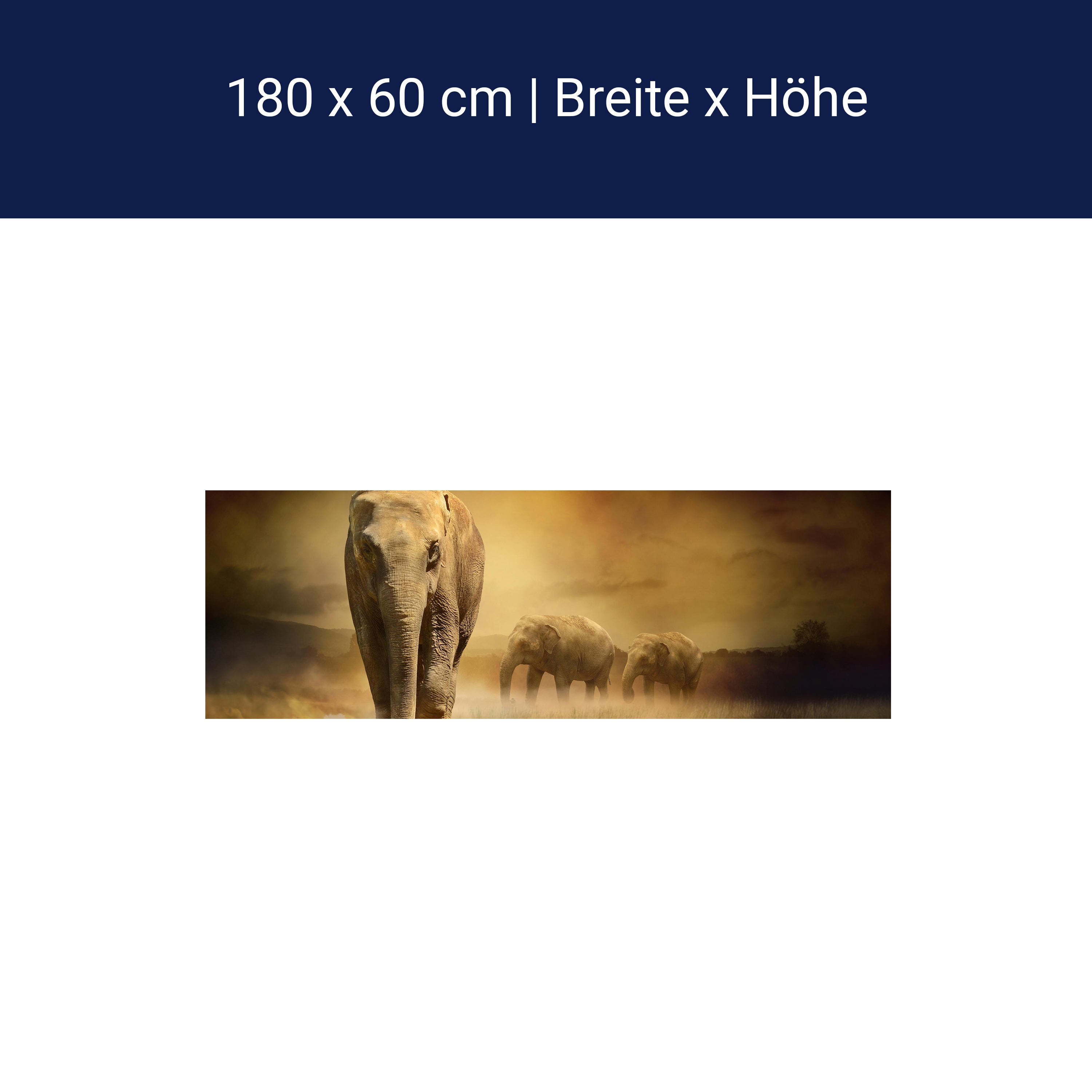 Küchenrückwand Steppenelefant Afrika M0246