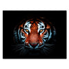 Leinwandbild Tiere, Querformat, Tiger in der Dunkelheit M0252
