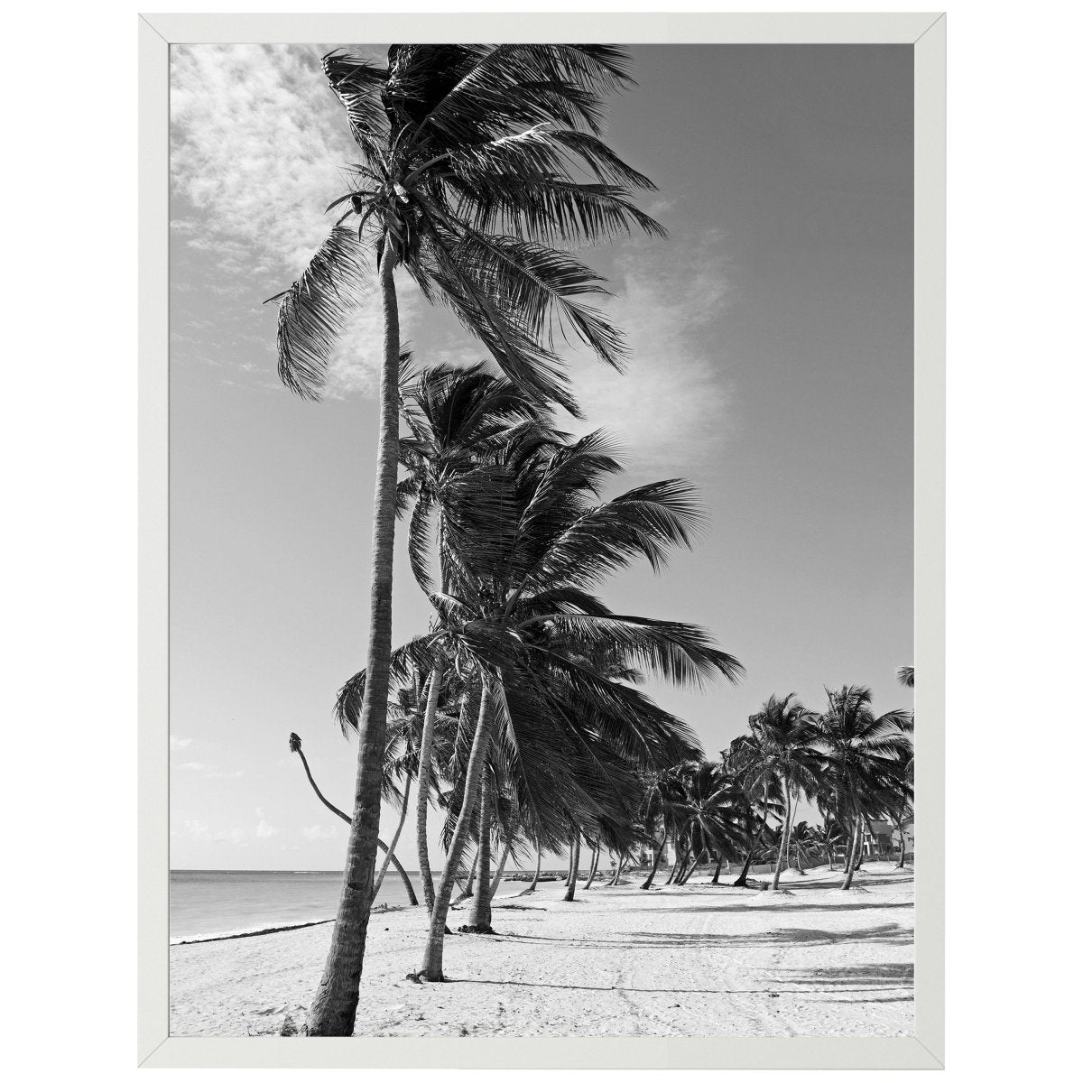 wandmotiv24 Poster, Poster - Palmen, Strand, Wasser - M0280 - Bild 1 wandmotiv24 Poster, Poster - Palmen, Strand, Wasser - M0280 - Bild 1