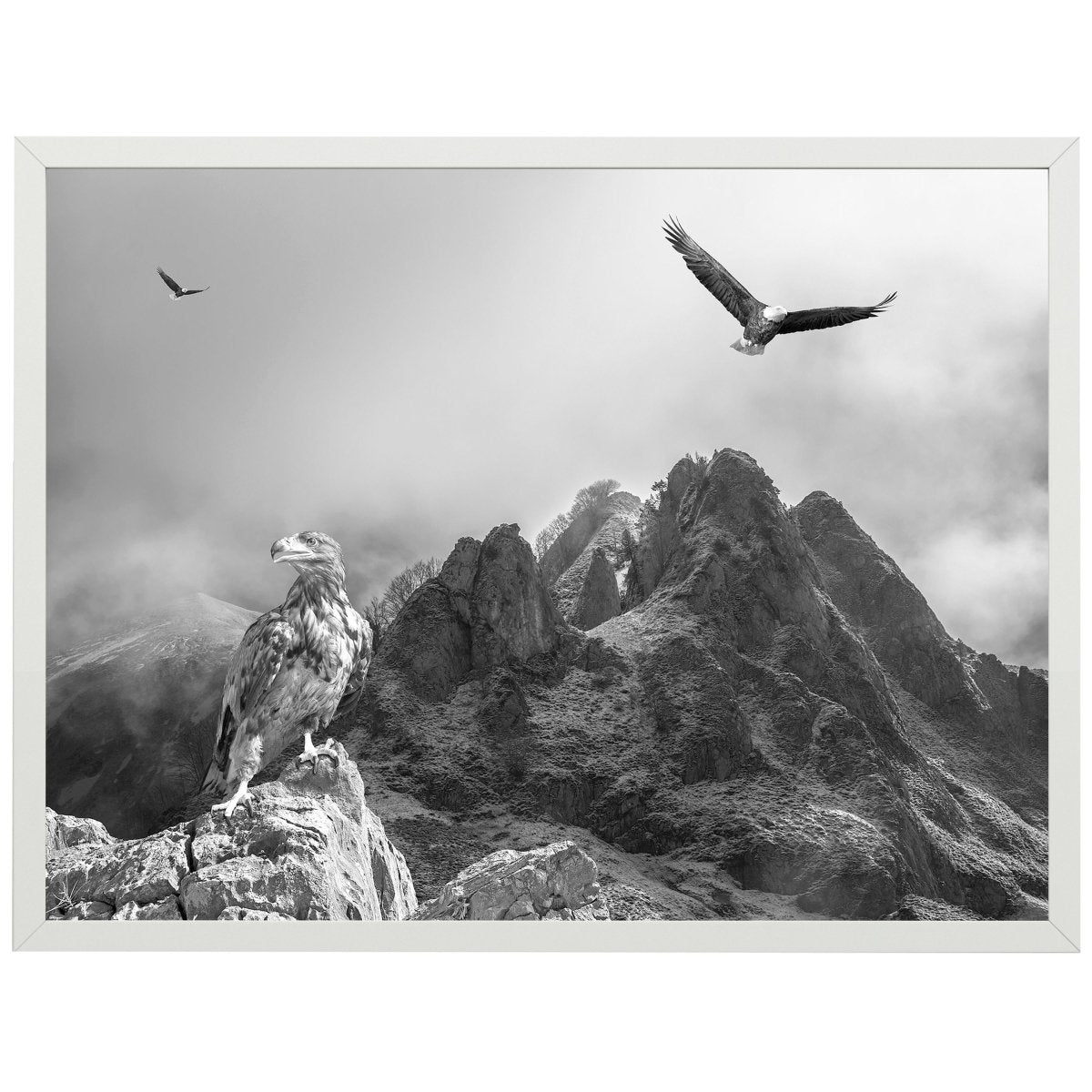 wandmotiv24 Poster, Poster - Berge, Gebirge, Adler - M0287 - Bild 1