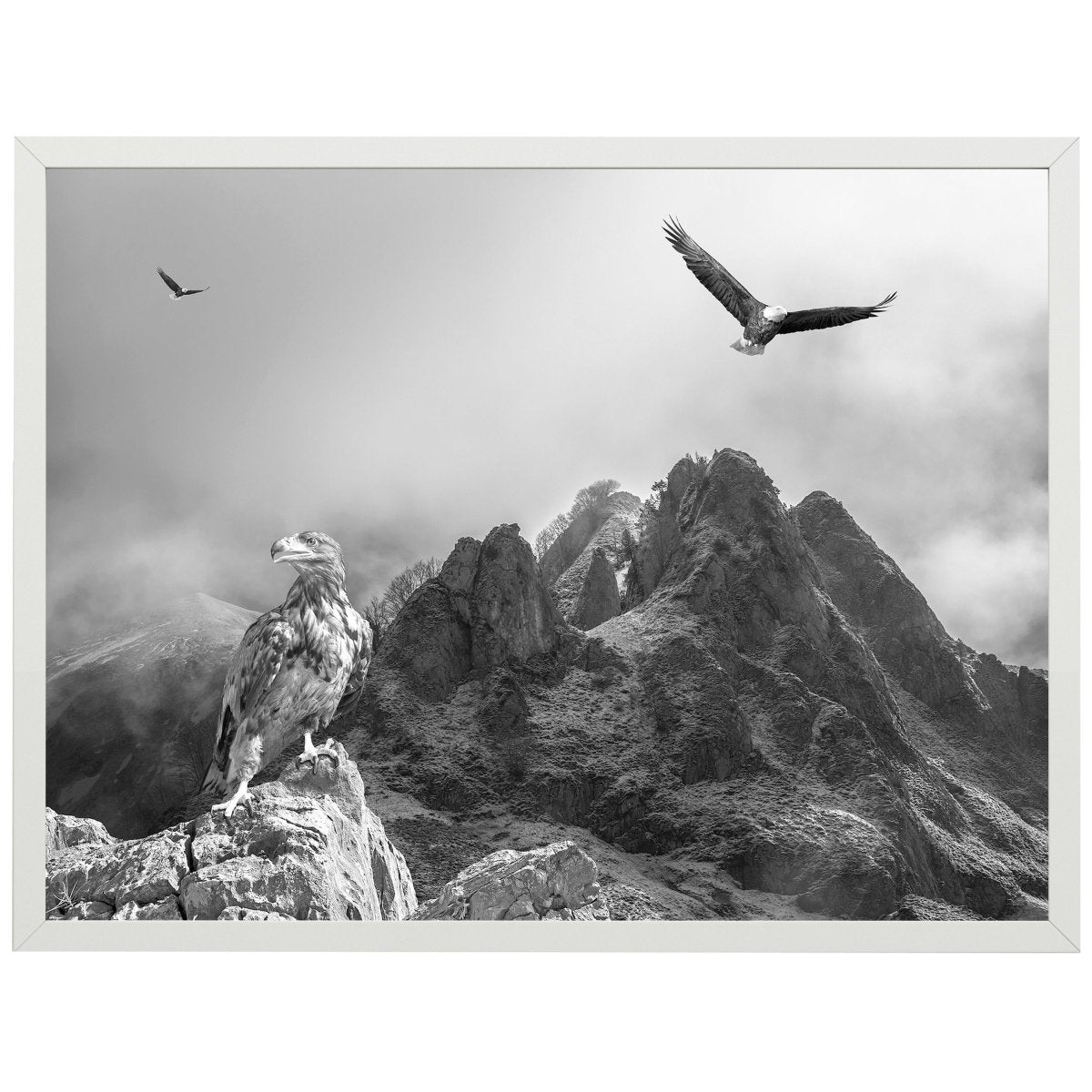 wandmotiv24 Poster, Poster - Berge, Gebirge, Adler - M0287 - Bild 1 wandmotiv24 Poster, Poster - Berge, Gebirge, Adler - M0287 - Bild 1