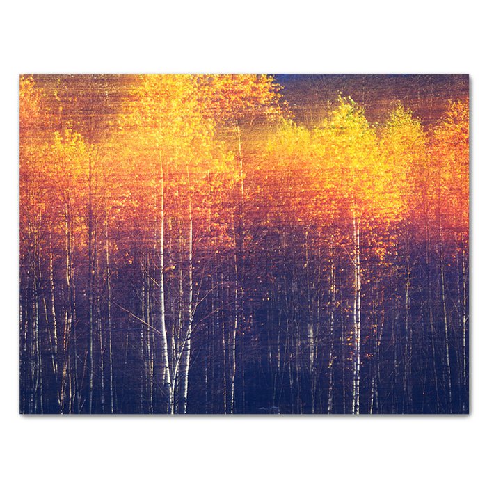 Leinwandbild Kunst, Querformat M0296 kaufen - Bild 1 Leinwandbild Kunst, Querformat M0296 kaufen - Bild 1