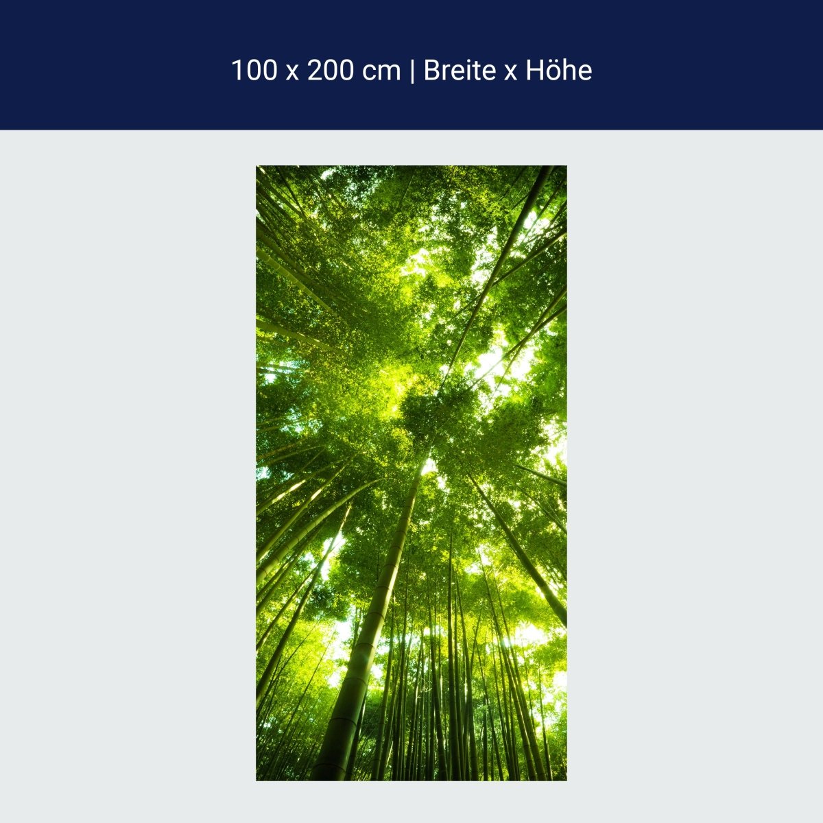 Duschwand Bambus Wald M0338 Duschwand Bambus Wald M0338