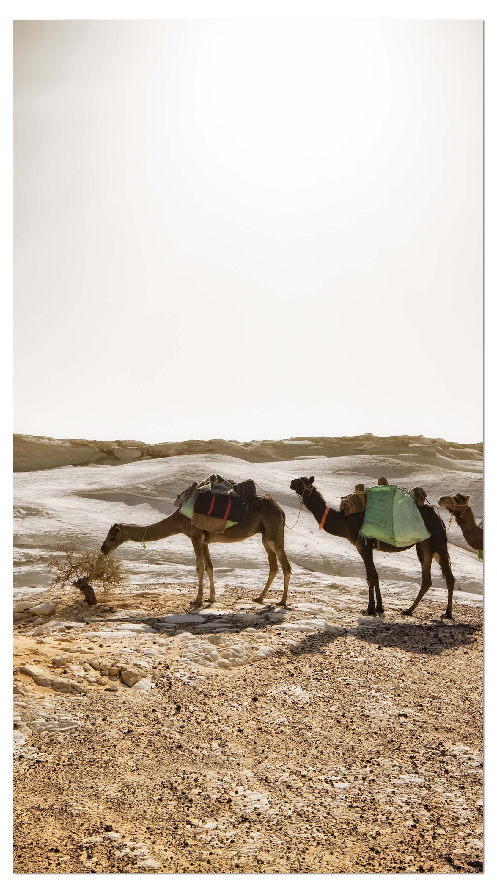 Garderobe Karavane M0343 entdecken - Bild 4 Garderobe Karavane M0343 entdecken - Bild 4