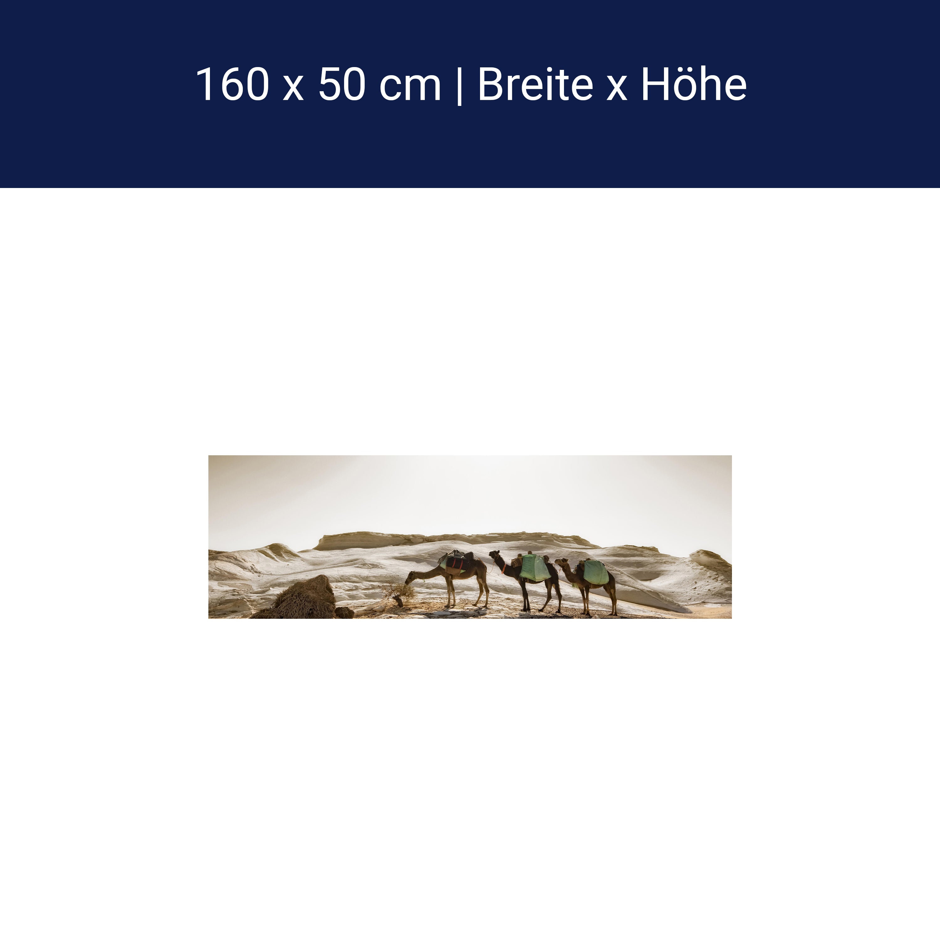 Küchenrückwand Karavane M0343 Küchenrückwand Karavane M0343