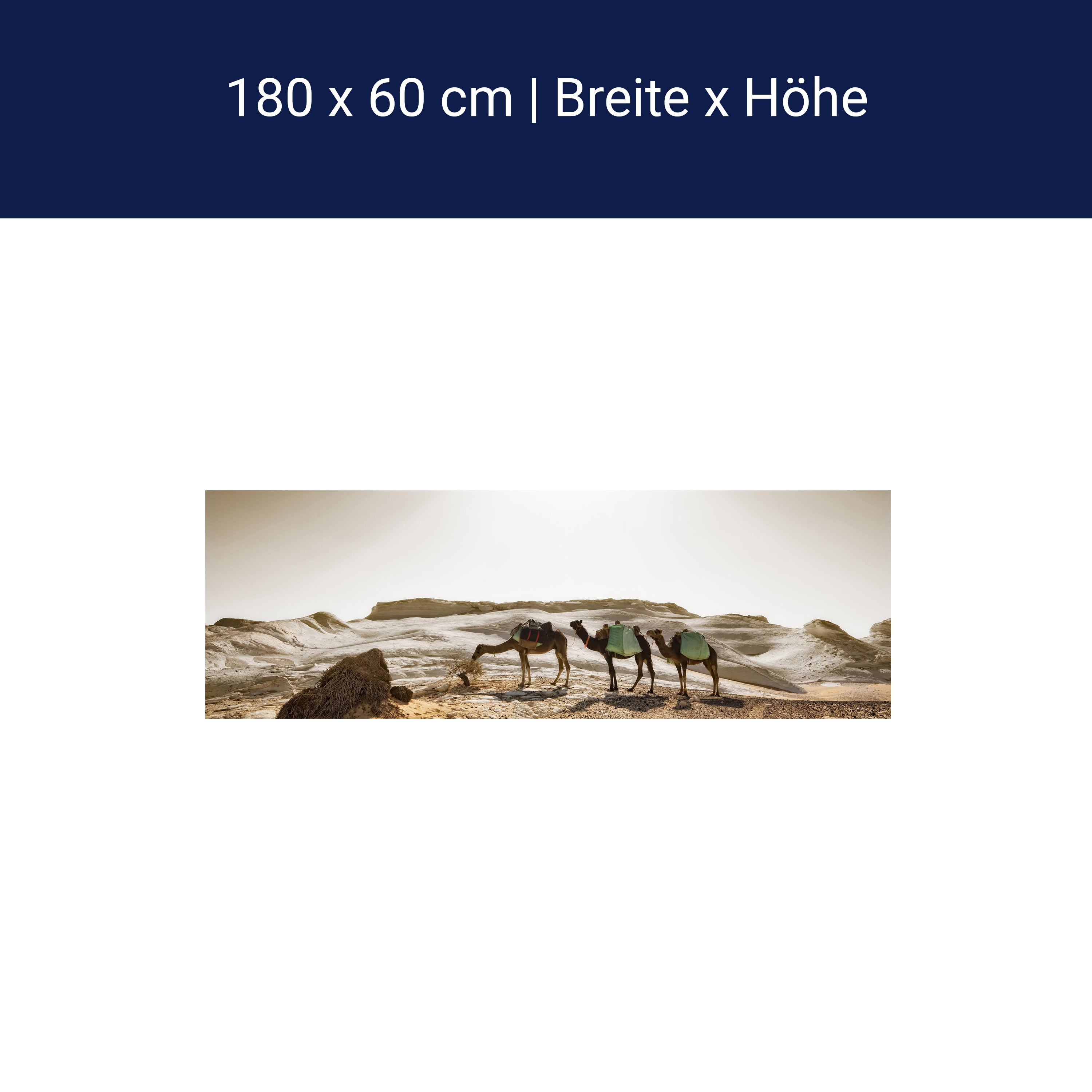 Küchenrückwand Karavane M0343 Küchenrückwand Karavane M0343