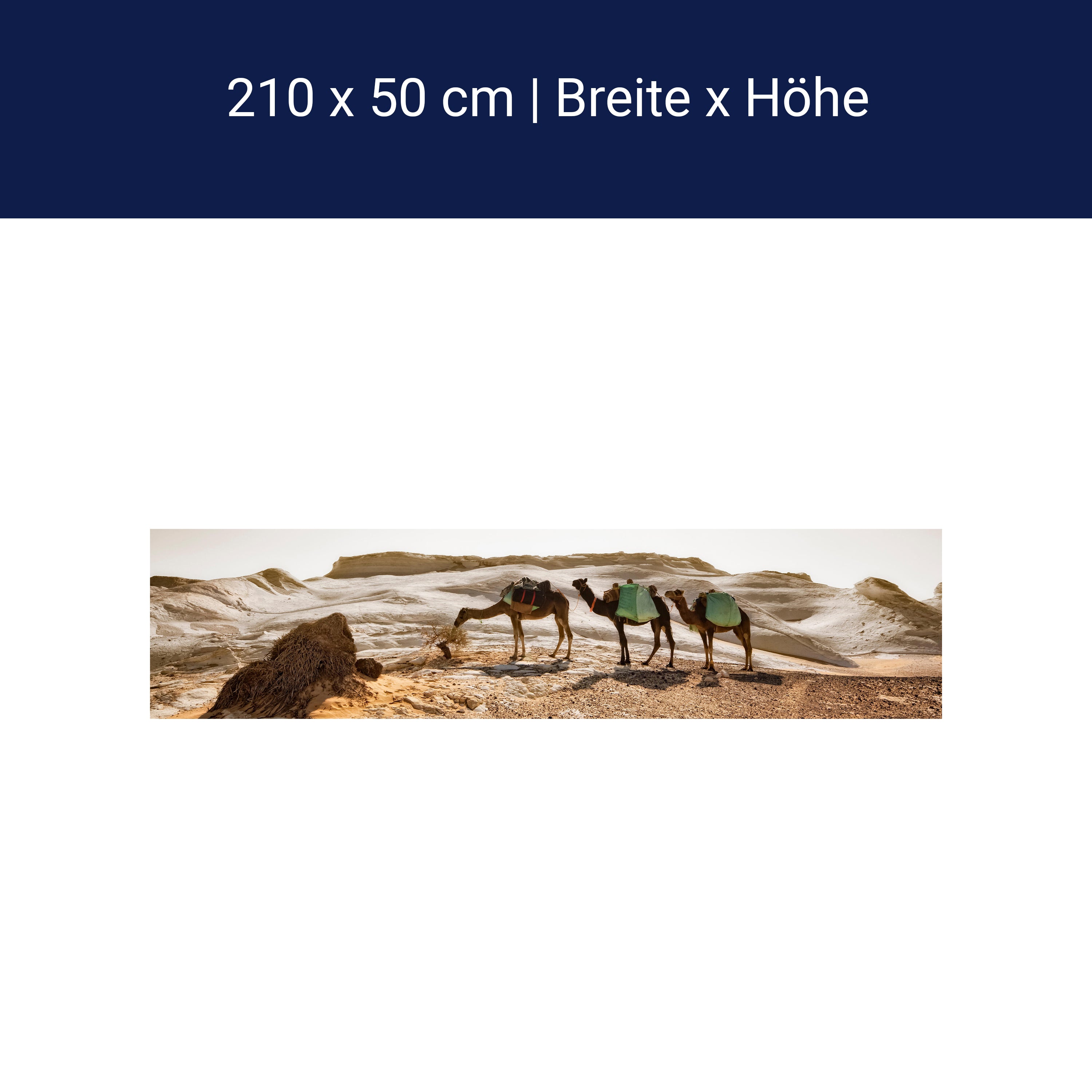 Küchenrückwand Karavane M0343 Küchenrückwand Karavane M0343