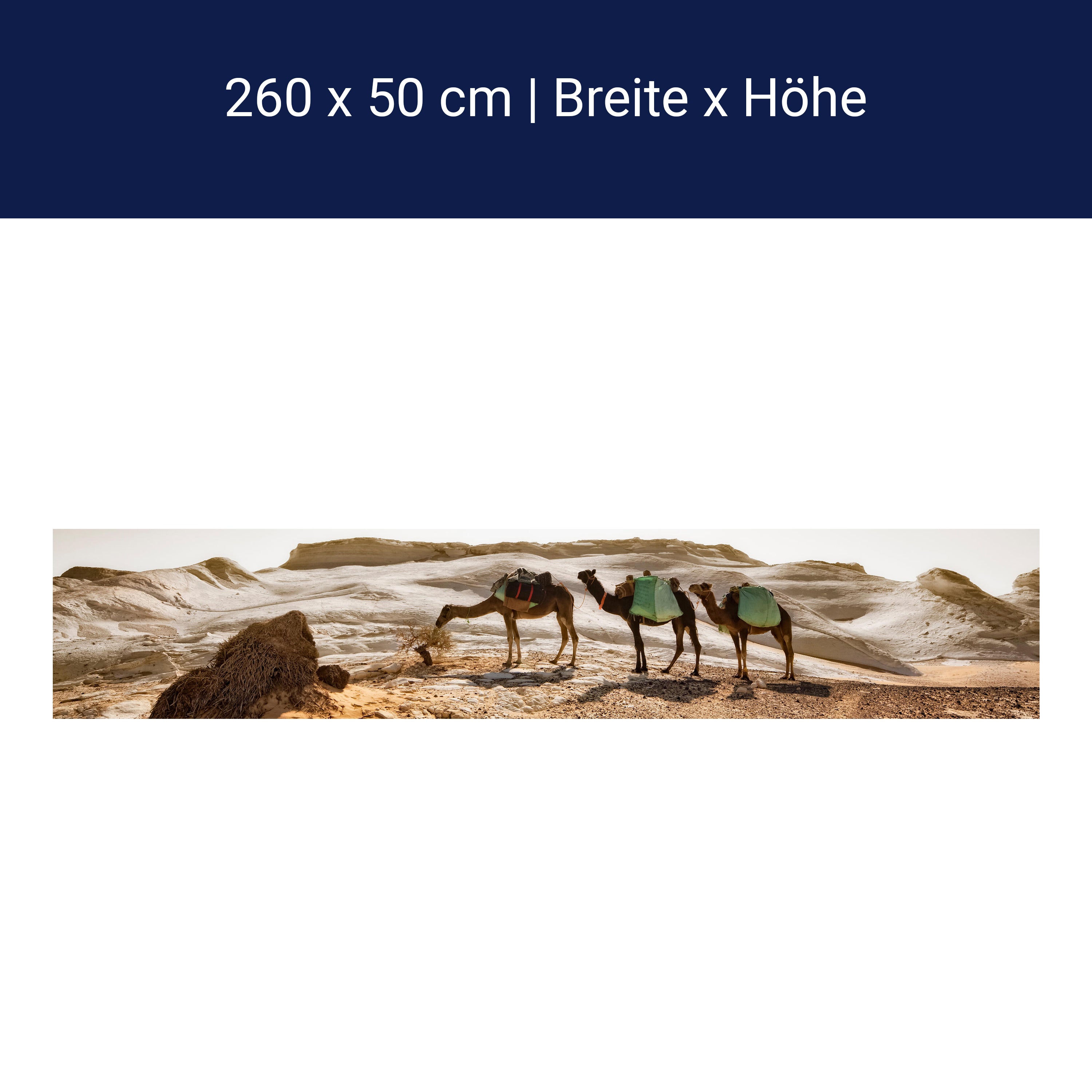 Küchenrückwand Karavane M0343 Küchenrückwand Karavane M0343