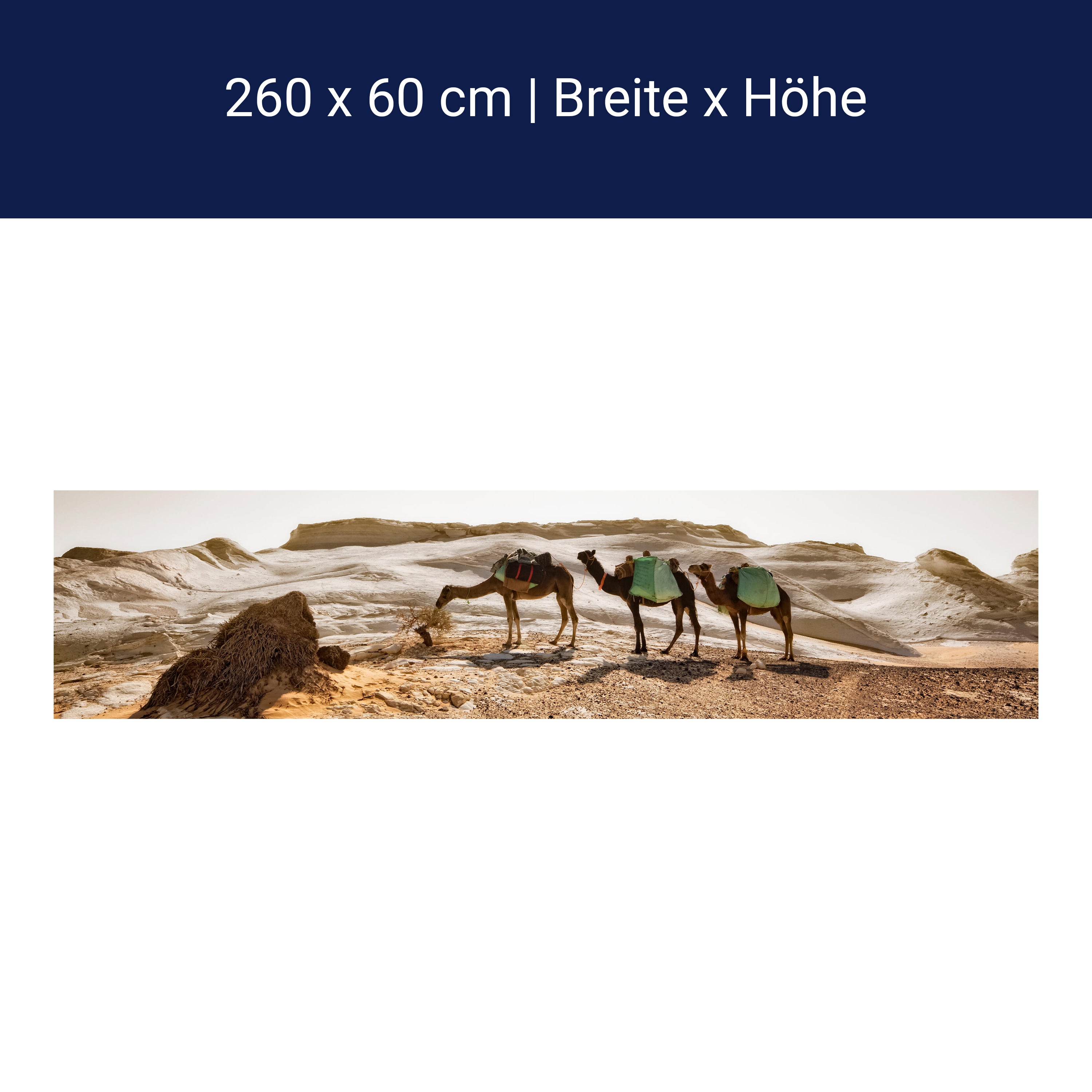 Küchenrückwand Karavane M0343 Küchenrückwand Karavane M0343