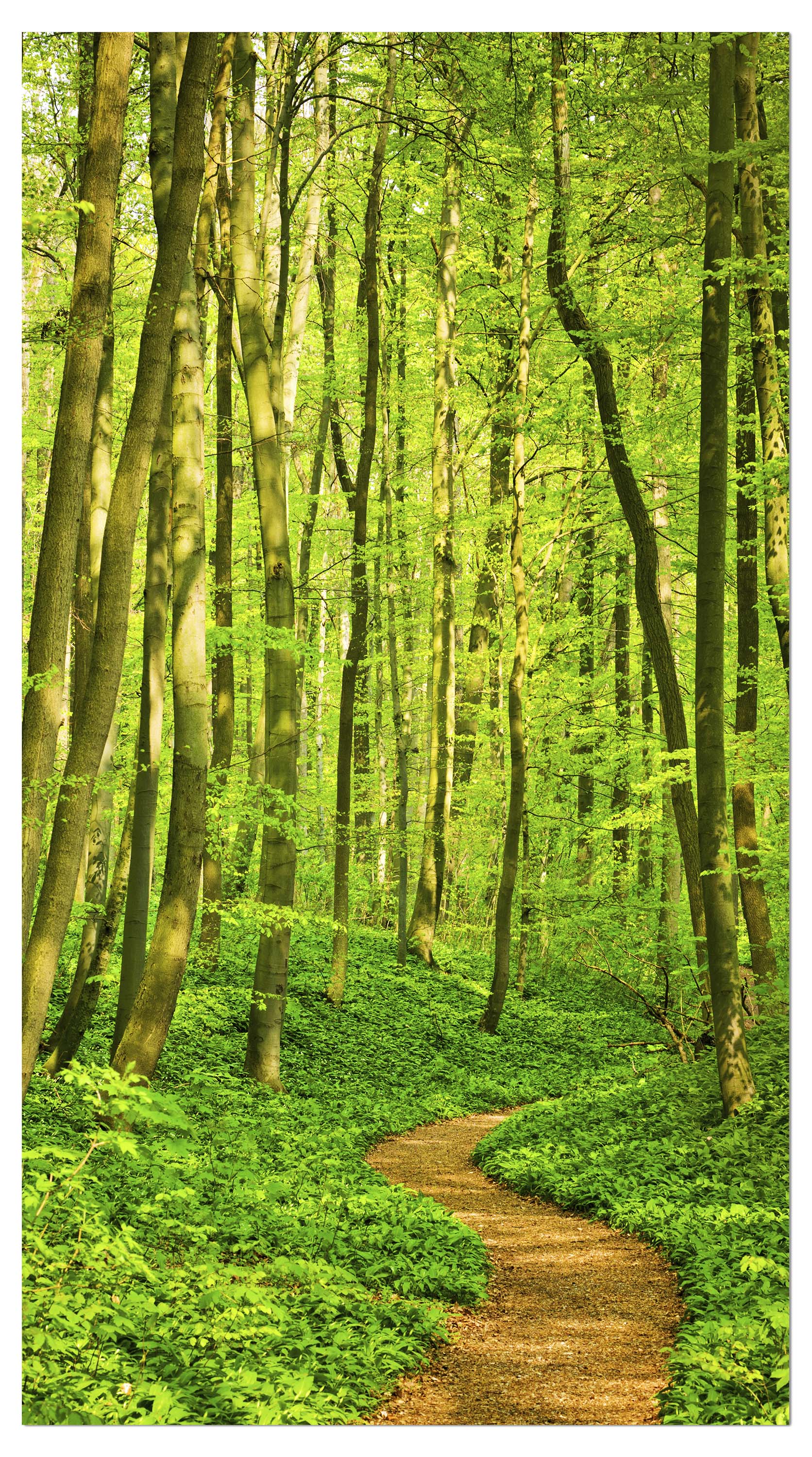 Garderobe Waldpfad M0345 entdecken - Bild 4 Garderobe Waldpfad M0345 entdecken - Bild 4